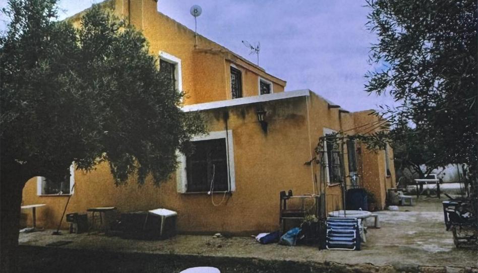 Foto 1 de Finca rústica en venda a Partida Benaut, 38, Centro, Alicante