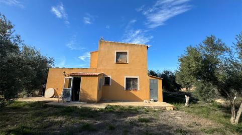 Foto 2 de Finca rústica en venda a Partida Benaut, 38, Centro, Alicante