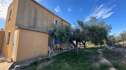 Foto 3 de Finca rústica en venda a Partida Benaut, 38, Centro, Alicante
