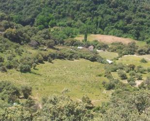 Land for sale in Alpandeire