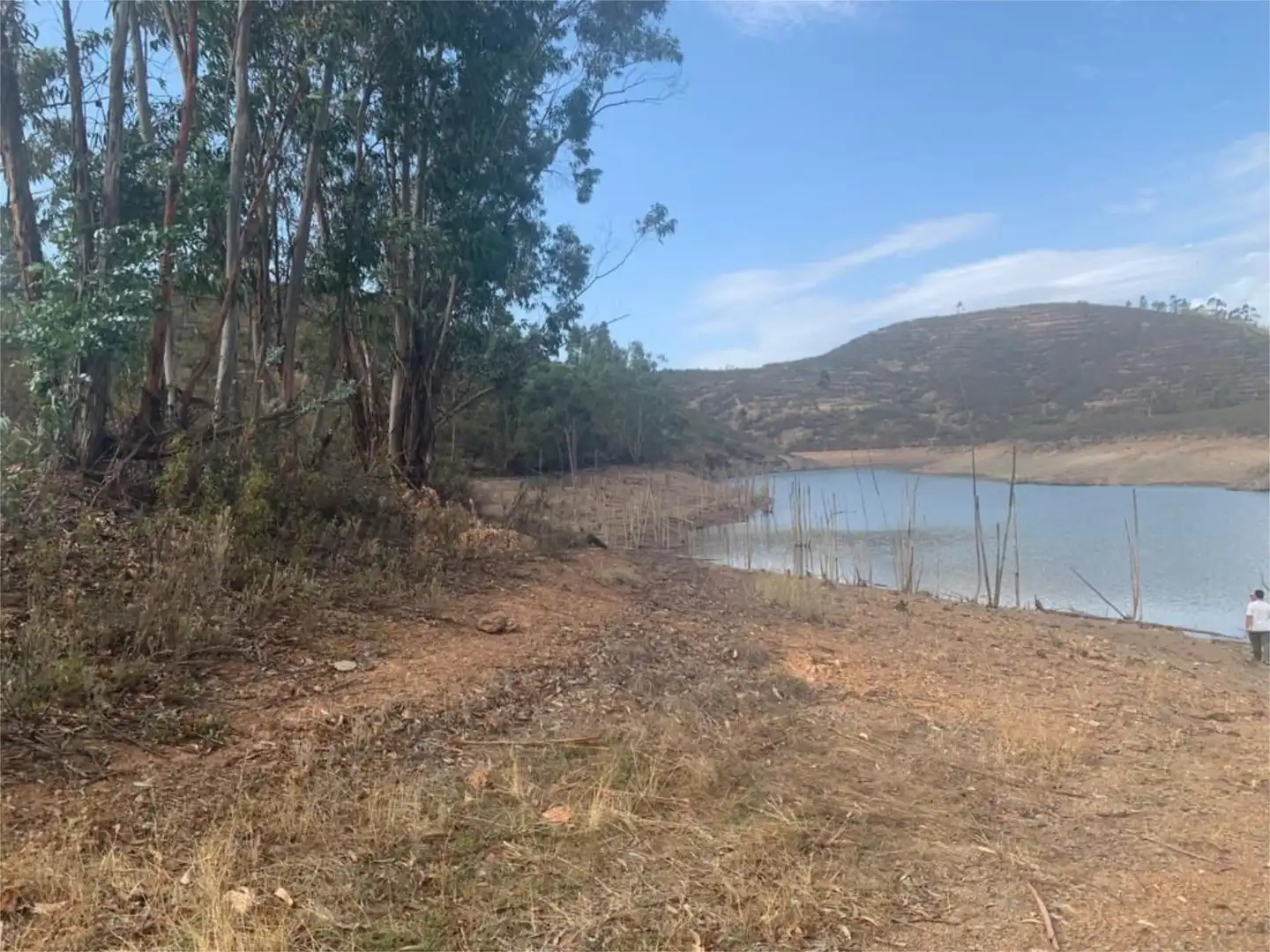 Terreno en venta en Calle Francisco Delgado Alonso, 37, El Madroño Terreno en venta en El Madroño