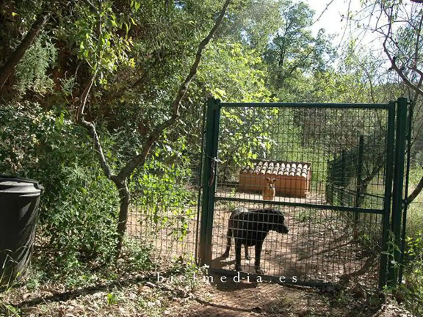 Country homes for sale in Camí del Maset, 22, Gelida Garden of Country homes for sale in Gelida with Air Conditioner, Heating and Private garden