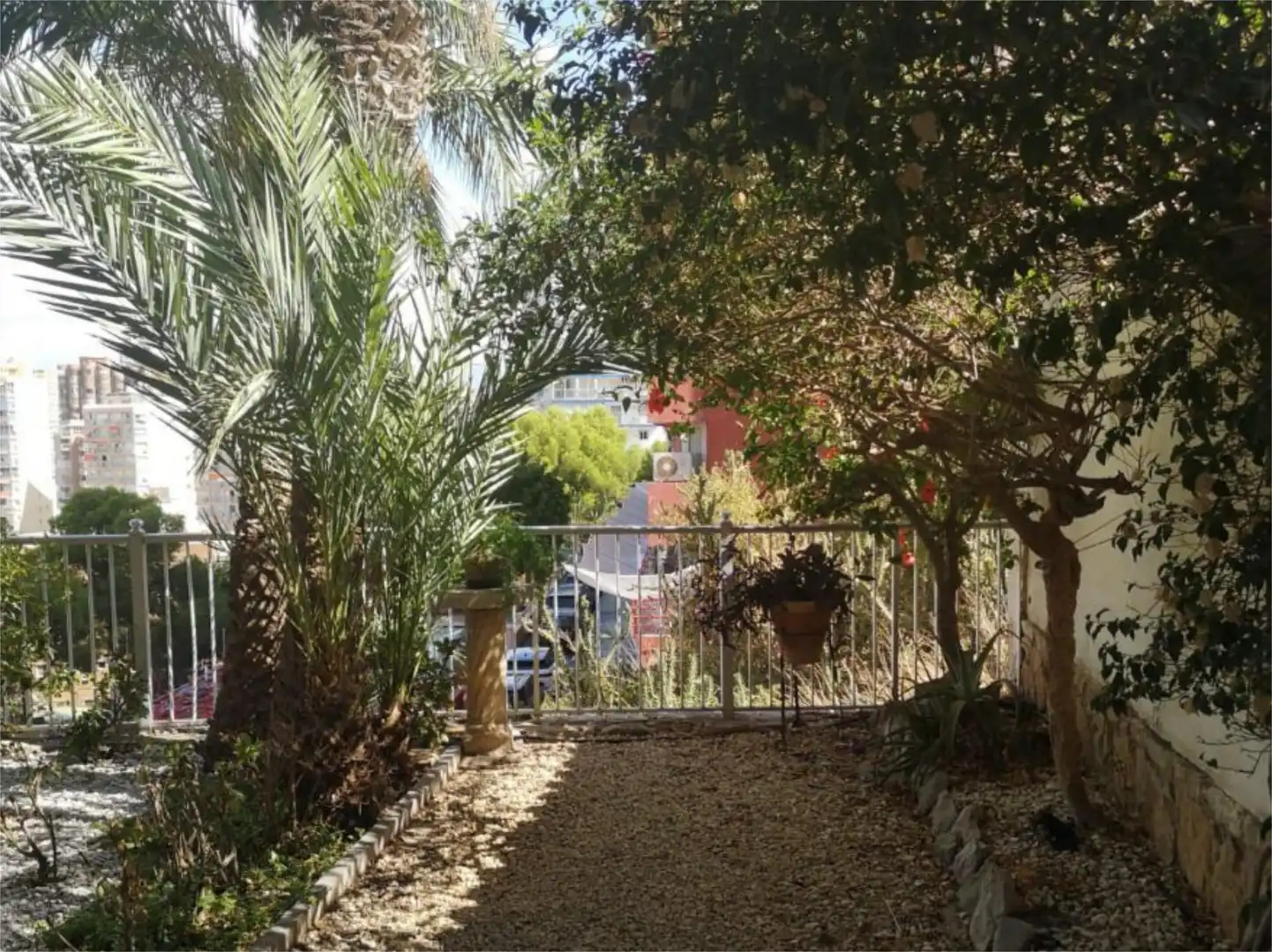 Jardí de Apartament en venda en Benidorm amb Aire condicionat