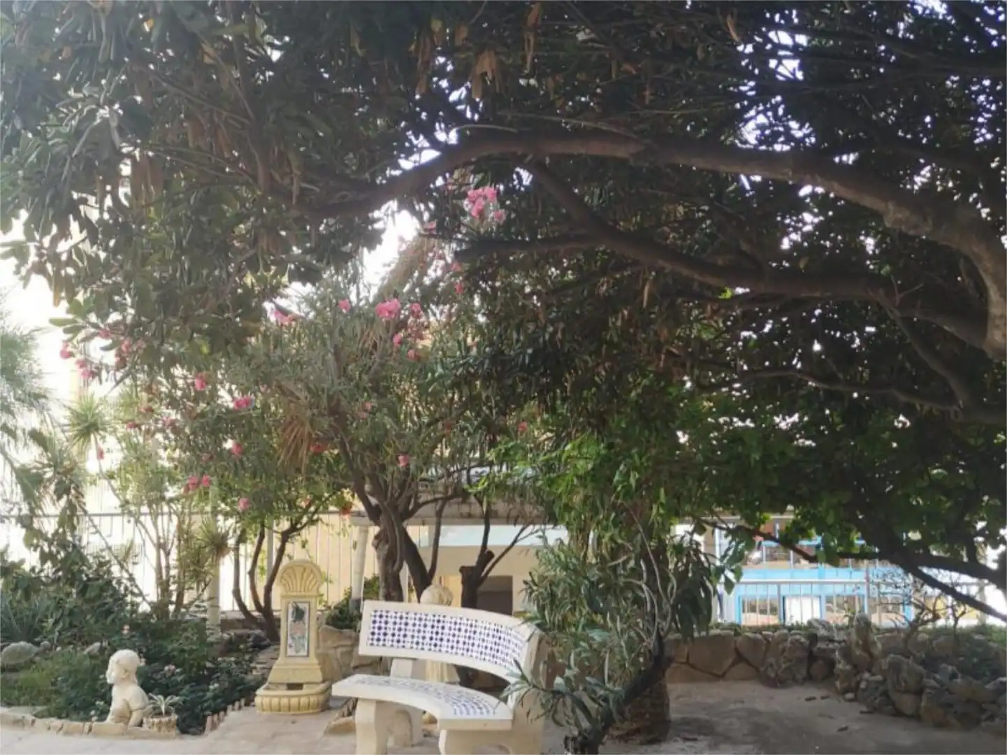 Jardí de Apartament en venda en Benidorm amb Aire condicionat