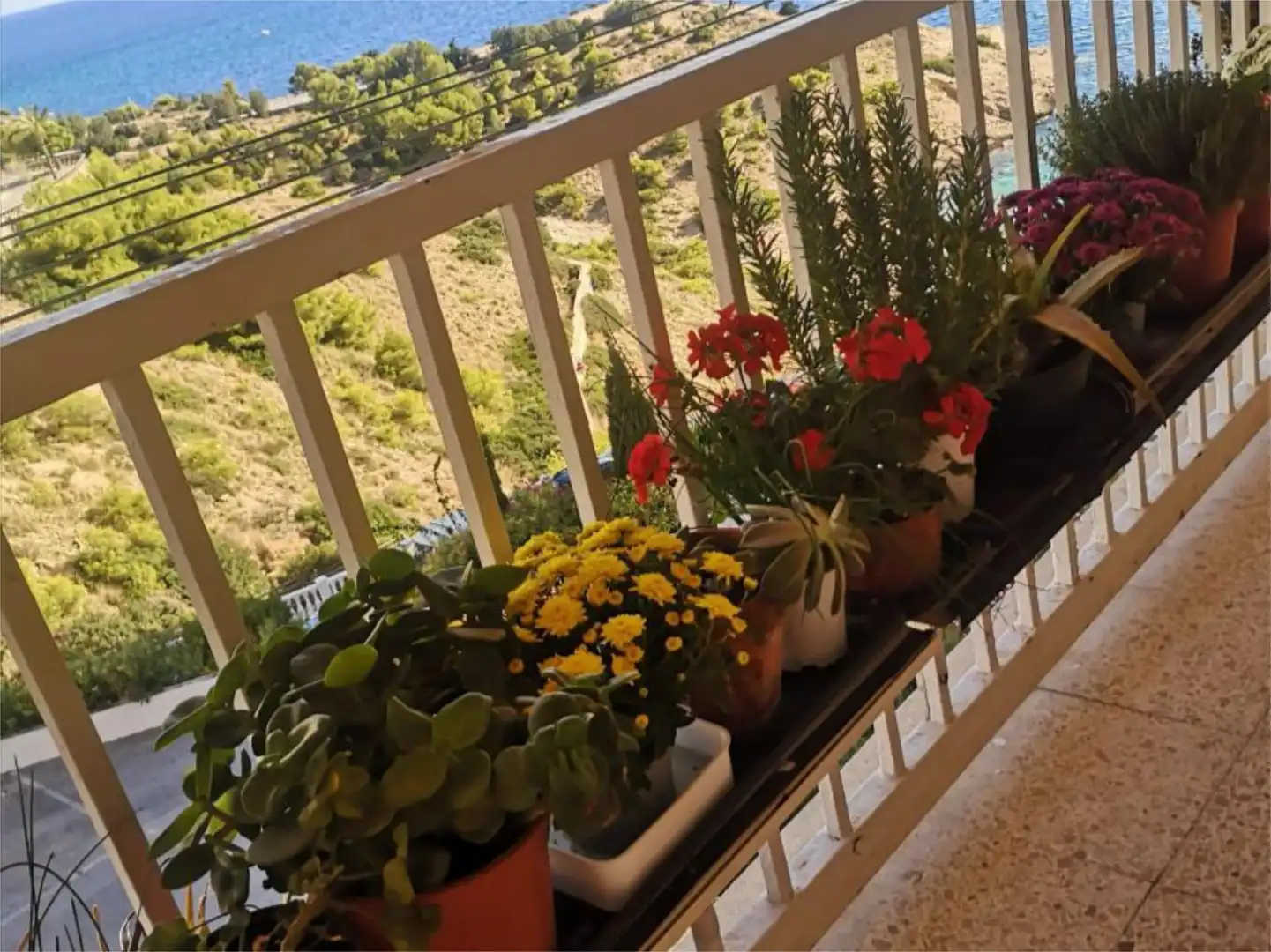 Terrassa de Apartament en venda en Benidorm amb Aire condicionat