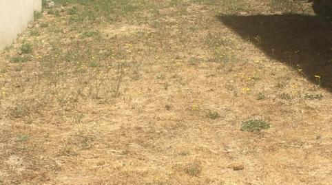 Terreno en venta en Calle Fernando el Alfarero, 32, Covadonga - Los Manzanos, Madrid - imagen 3 Foto 3 de Terreno en venta en Calle Fernando el Alfarero, 32, Covadonga - Los Manzanos, Madrid