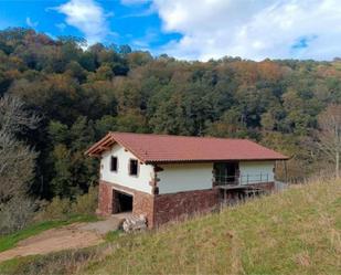 Exterior view of House or chalet for sale in Baztan