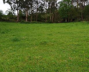 Land for sale in Cudillero