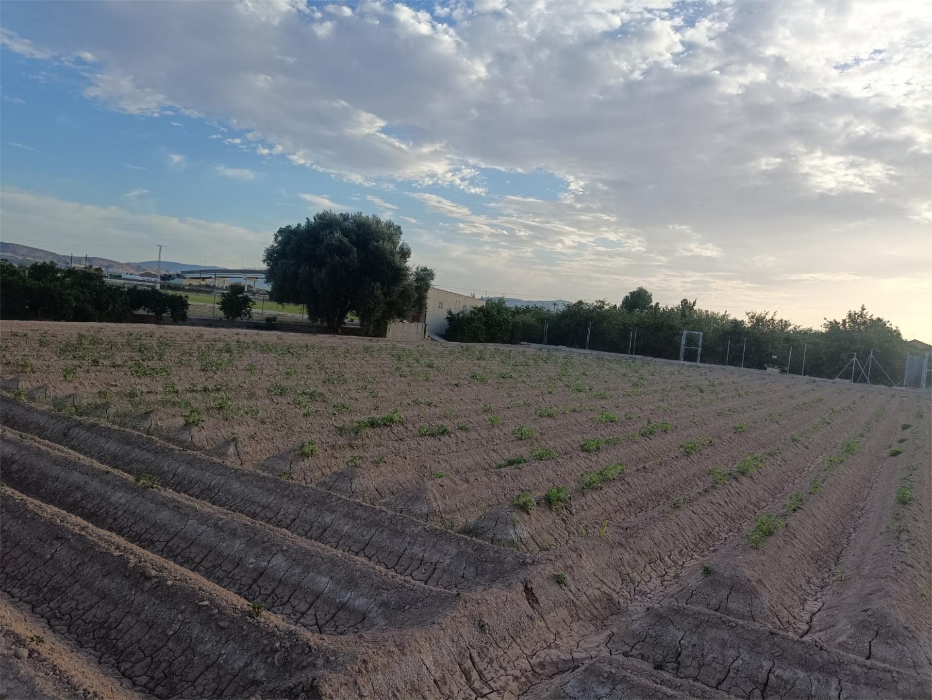 Country house for sale in Orihuela