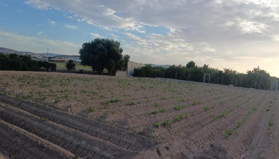Finca rústica en venda a Carril de Lucas, 7, Desamparados - Hurchillo - Torremendo, Alicante - imatge 1 Foto 1 de Finca rústica en venda a Carril de Lucas, 7, Desamparados - Hurchillo - Torremendo, Alicante