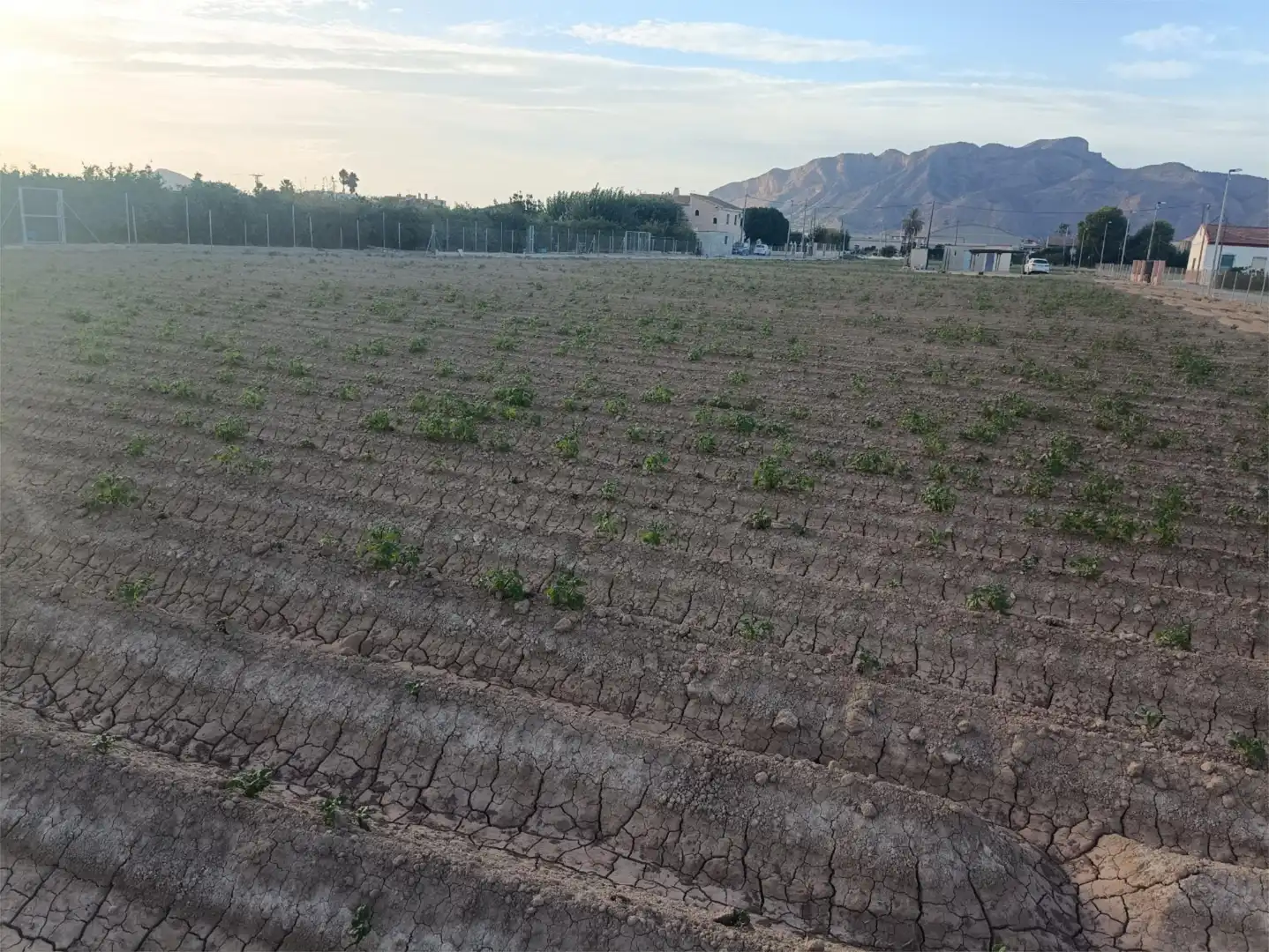 Finca rústica en venda en Orihuela