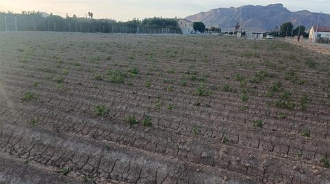 Finca rústica en venda a Carril de Lucas, 7, Desamparados - Hurchillo - Torremendo, Alicante - imatge 2 Foto 2 de Finca rústica en venda a Carril de Lucas, 7, Desamparados - Hurchillo - Torremendo, Alicante