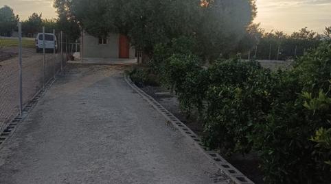 Finca rústica en venda a Carril de Lucas, 7, Desamparados - Hurchillo - Torremendo, Alicante - imatge 4 Foto 4 de Finca rústica en venda a Carril de Lucas, 7, Desamparados - Hurchillo - Torremendo, Alicante
