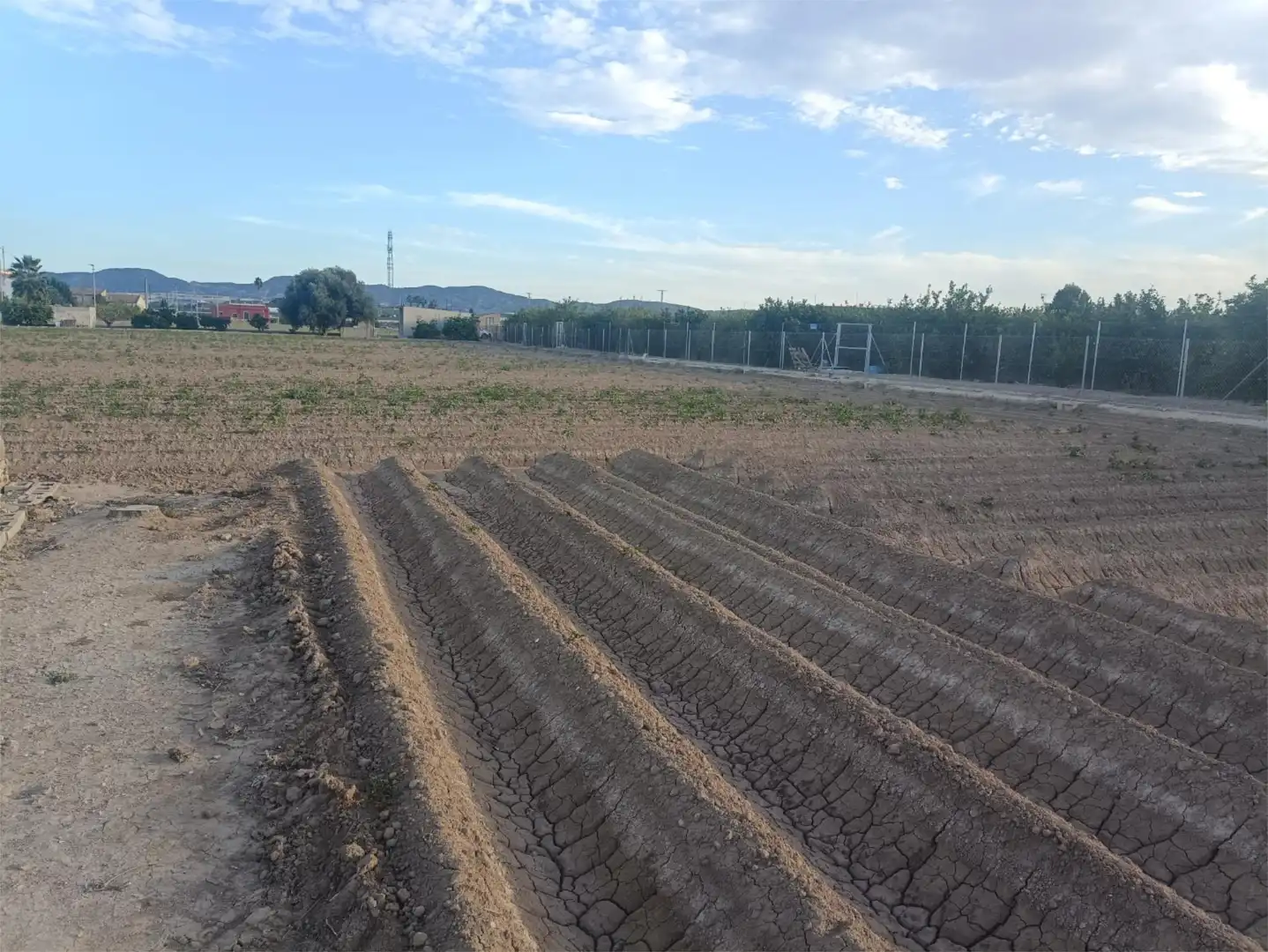 Finca rústica en venda en Orihuela