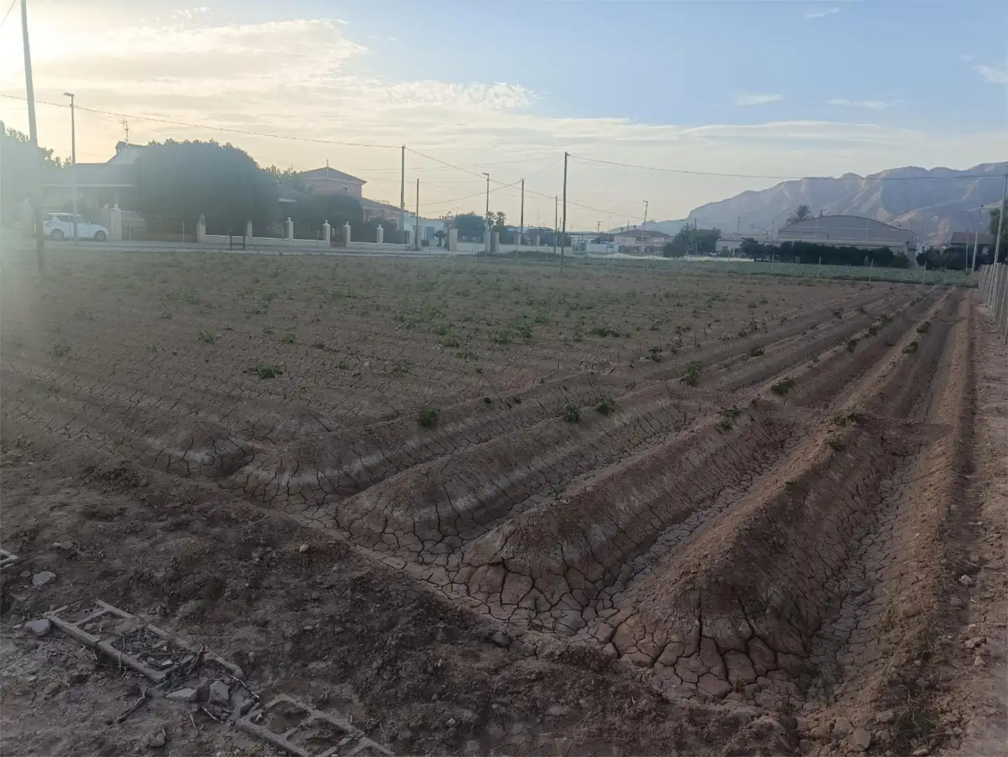 Finca rústica en venda en Orihuela