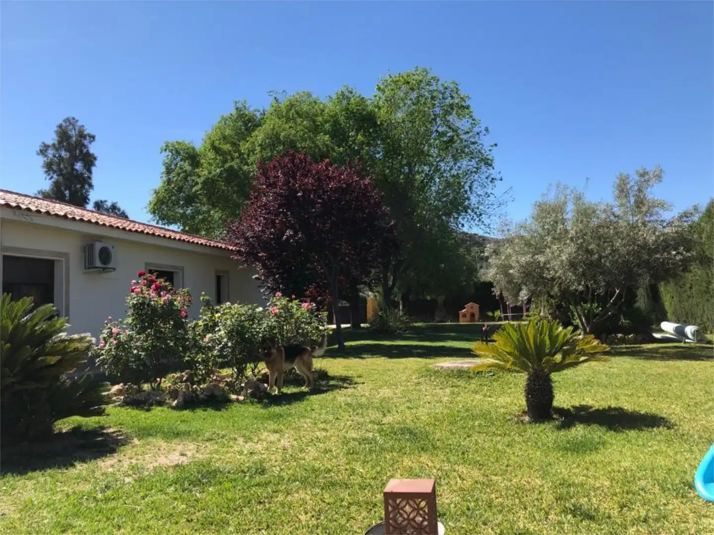 Casa o chalet en venta en Calle Músico Enrique Almiñan, 16, Campo Alto - Club de Campo Jardín de Casa o chalet en venta en Elda con Aire acondicionado, Calefacción y Trastero