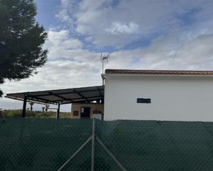 Vista exterior de Finca rústica en venda en Elche / Elx amb Terrassa