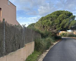 Vista exterior de Terreny en venda en Chiclana de la Frontera