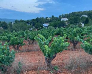 House or chalet to rent in La Bisbal del Penedès  with Air Conditioner, Heating and Private garden