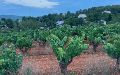 Casa-chalet en alquiler en la bisbal del penedès