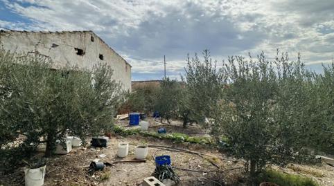 Foto 4 de Planta baixa en venda a Carril Peruchos, 3, Montepinar - La Aparecida - Raiguero, Alicante