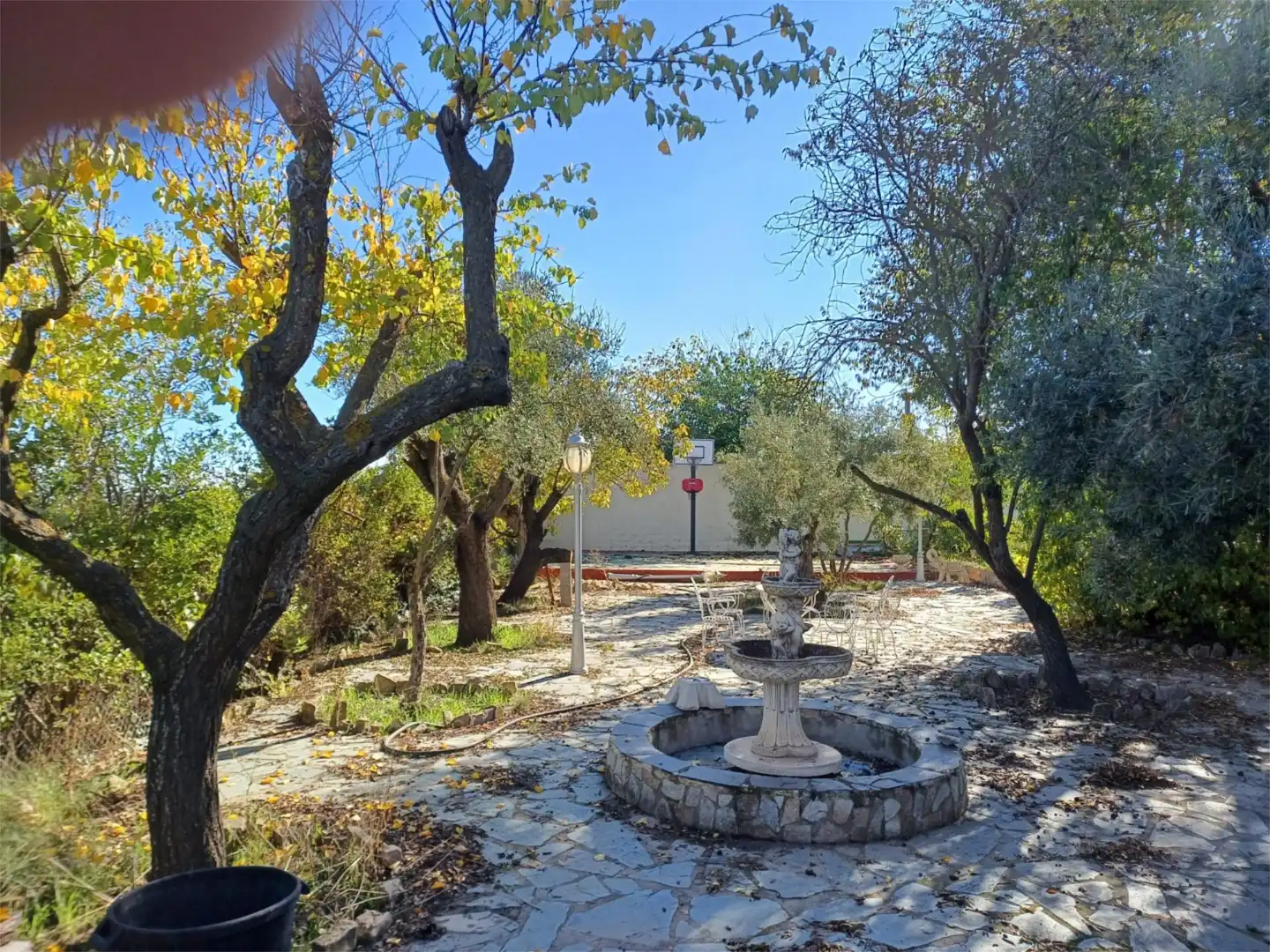 Finca rústica en venta en Terreno Diseminados, 3469, Albacete Capital Jardín de Finca rústica en venta en Albacete Capital con Aire acondicionado y Piscina