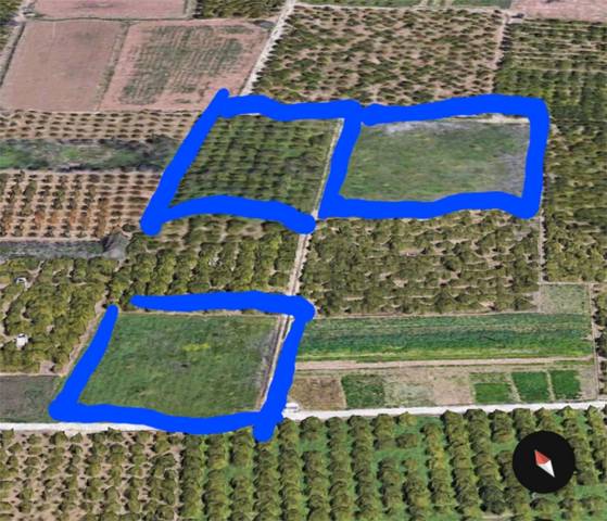 Finca rústica en Venta en Carrer del Pou, 12 en Sueca ciudad