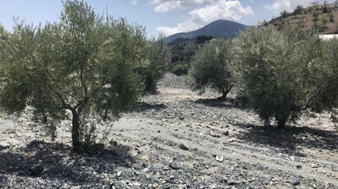 No Urbanitzable en venda a Diseminado Nogalte, 58, Nogalte, Murcia - imatge 2 Foto 2 de No Urbanitzable en venda a Diseminado Nogalte, 58, Nogalte, Murcia