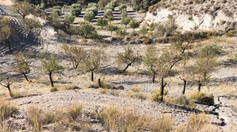 No Urbanitzable en venda a Diseminado Nogalte, 58, Nogalte, Murcia - imatge 3 Foto 3 de No Urbanitzable en venda a Diseminado Nogalte, 58, Nogalte, Murcia