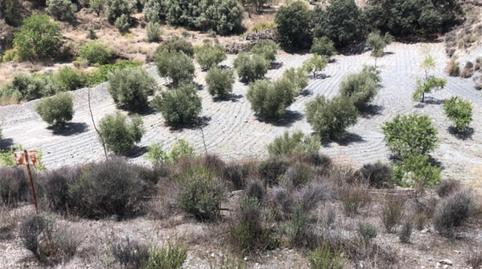 No Urbanitzable en venda a Diseminado Nogalte, 58, Nogalte, Murcia - imatge 4 Foto 4 de No Urbanitzable en venda a Diseminado Nogalte, 58, Nogalte, Murcia