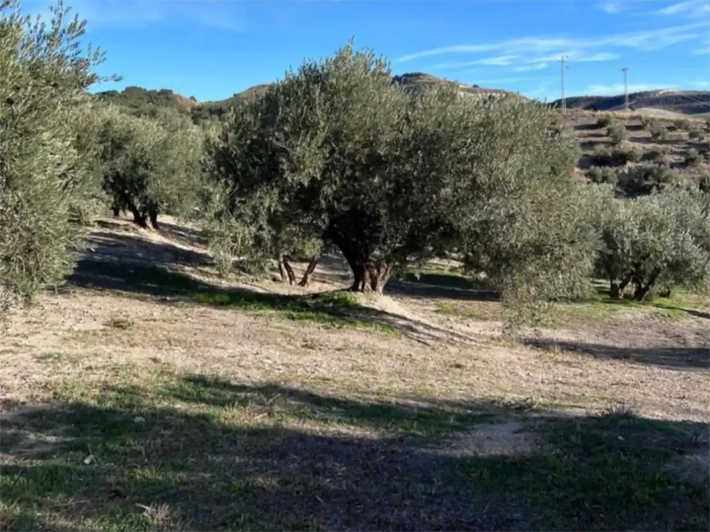 Nicht bebaubares Gelände zum Verkauf in Calle Jaen, 9, Huesa Nicht bebaubares Gelände zum Verkauf in Huesa