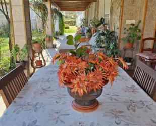 Garden of Country house for sale in Punxín