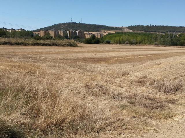 Terreno no urbanizable en Venta en Diseminado Diseminados, 97 en Villamuriel de Cerrato