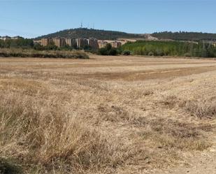 Non-constructible Land for sale in Villamuriel de Cerrato