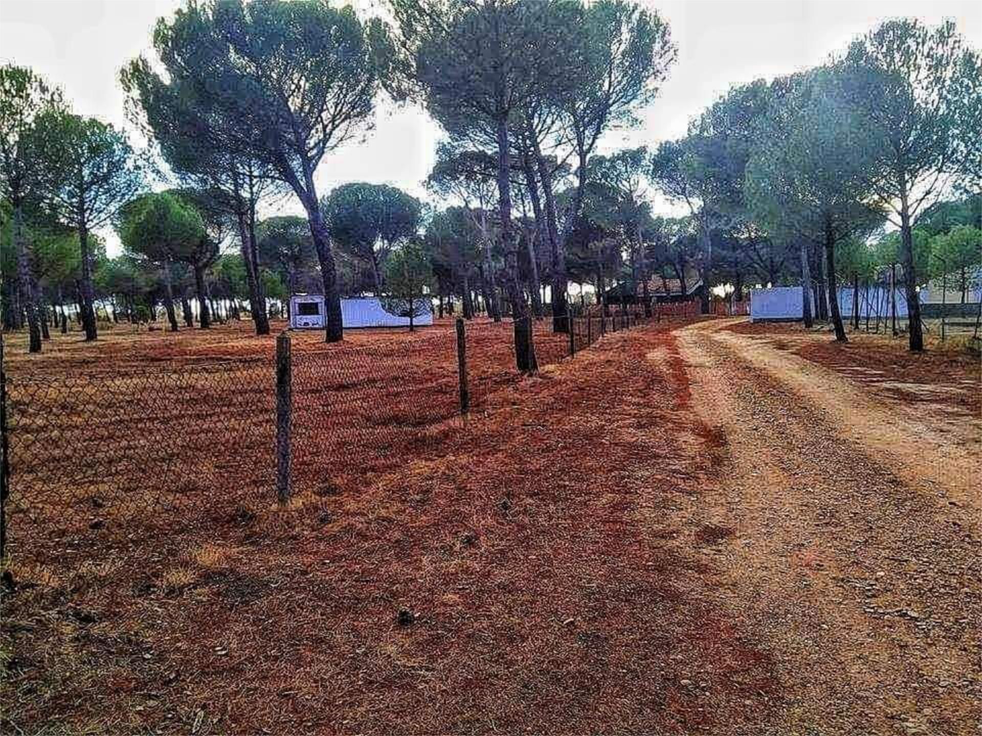 Non-constructible Land for sale in Alcazarén