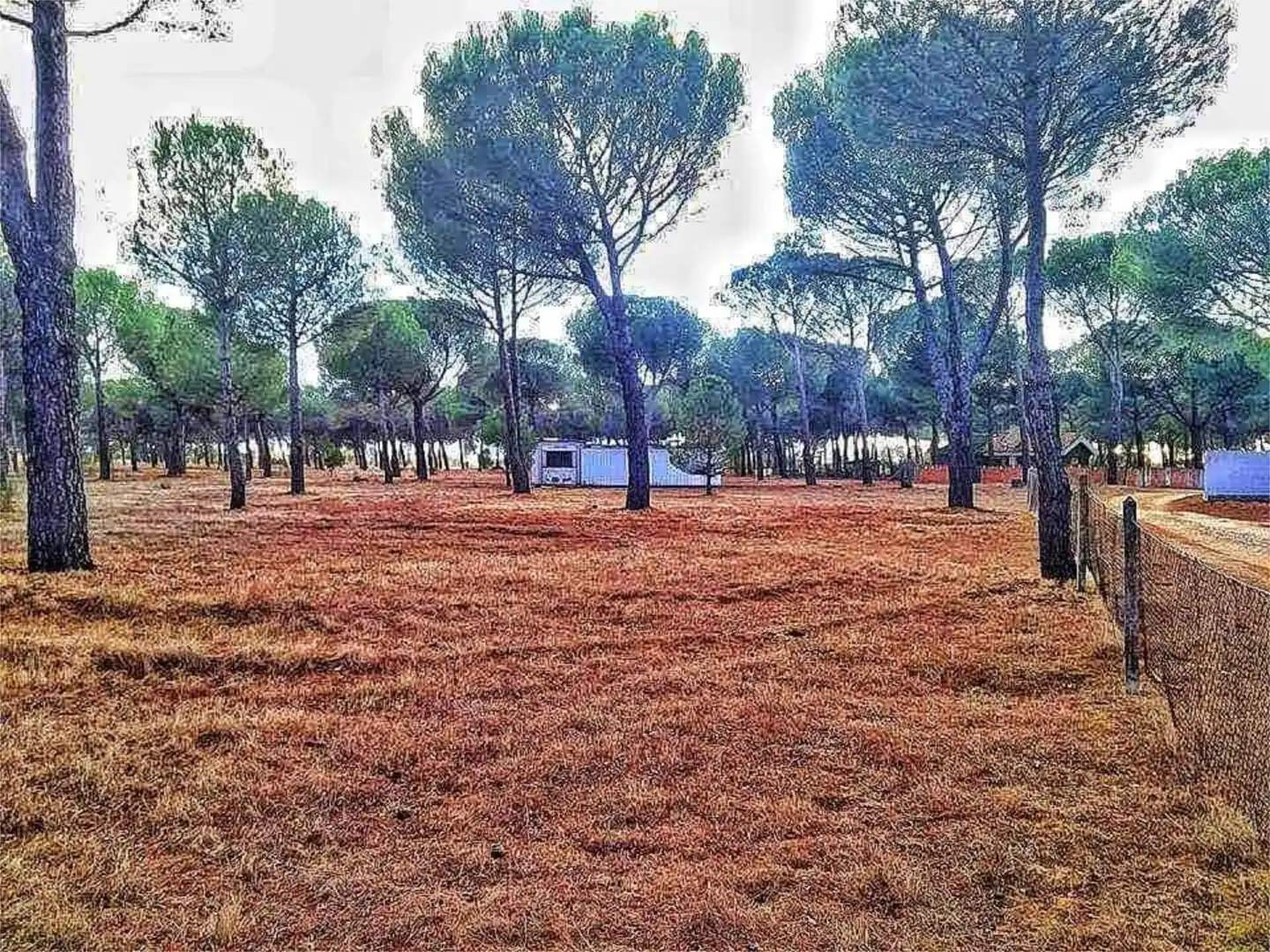 Non-constructible Land for sale in Camino Brazuelas, 7, Alcazarén Non-constructible Land for sale in Alcazarén