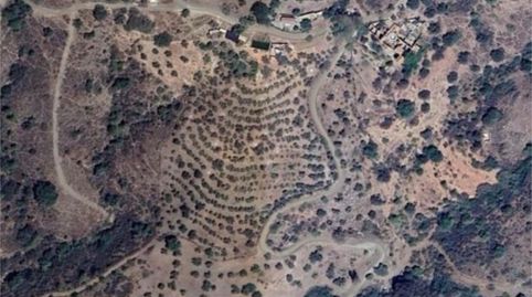 Foto 5 de Terreno en venta en Camino de Los Almendrales, 115, Limonar, Málaga Capital