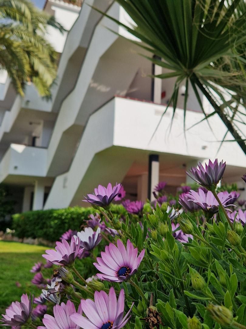 Exterior view of Study for sale in Sitges  with Private garden, Terrace and Swimming Pool