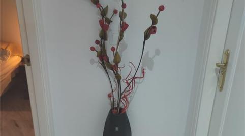 Flat to share in Avenida Retamar, 2u, Los Nadales - Tio Charles, Málaga - image 4 Photo 4 of Flat to share in Avenida Retamar, 2u, Los Nadales - Tio Charles, Málaga