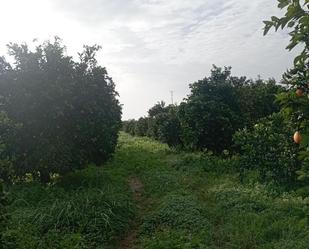 Finca rústica en venda en Santiponce