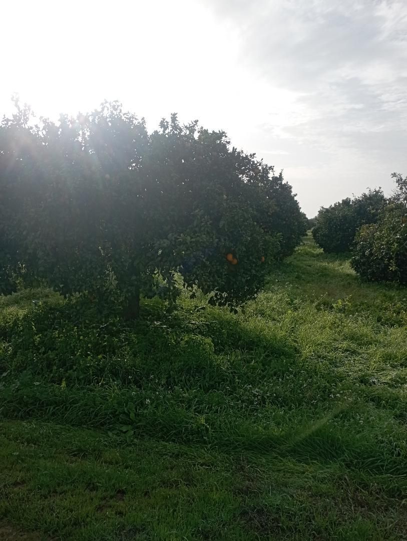 Finca rústica en venda en Salteras