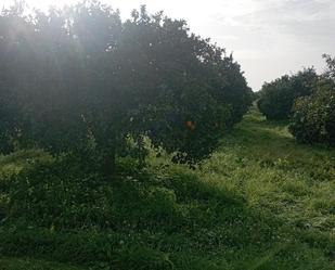 Finca rústica en venda en Salteras