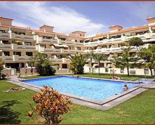 Swimming pool of Flat to rent in Puerto de la Cruz