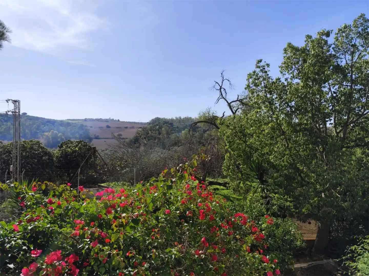 Jardí de Casa o xalet en venda en Alcalá de Guadaira amb Aire condicionat, Jardí privat i Terrassa