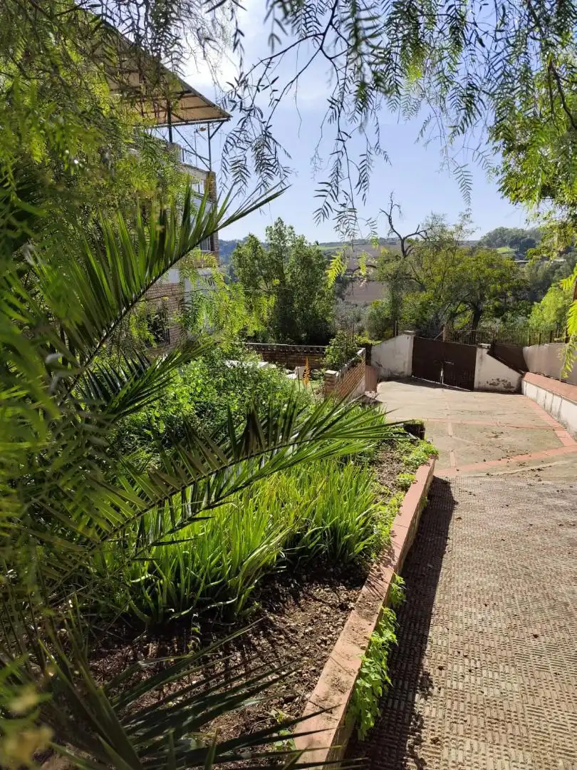 Jardí de Casa o xalet en venda en Alcalá de Guadaira amb Aire condicionat, Jardí privat i Terrassa