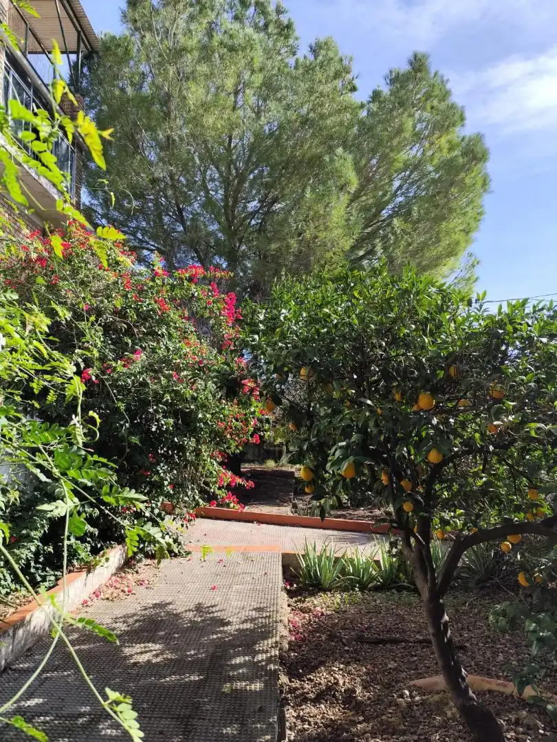 Jardí de Casa o xalet en venda en Alcalá de Guadaira amb Aire condicionat, Jardí privat i Terrassa