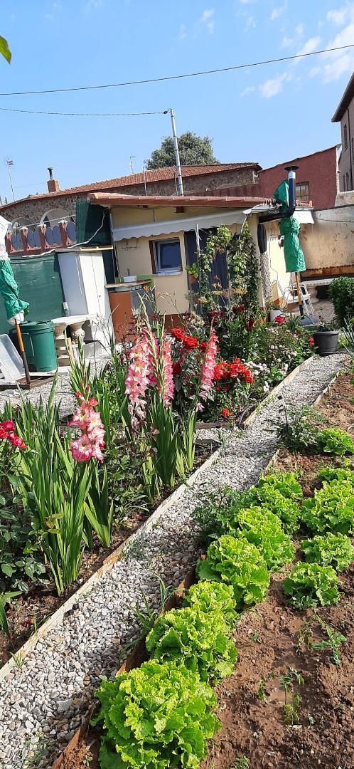 Garden of Single-family semi-detached for sale in Espinosa de Henares  with Heating, Private garden and Furnished