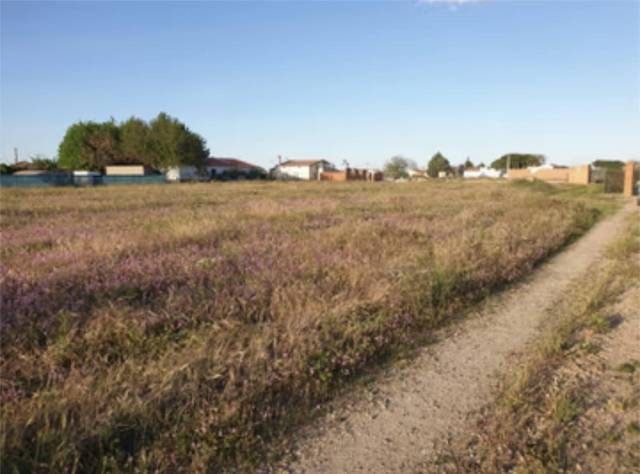 Terreno en Venta en Don Benito