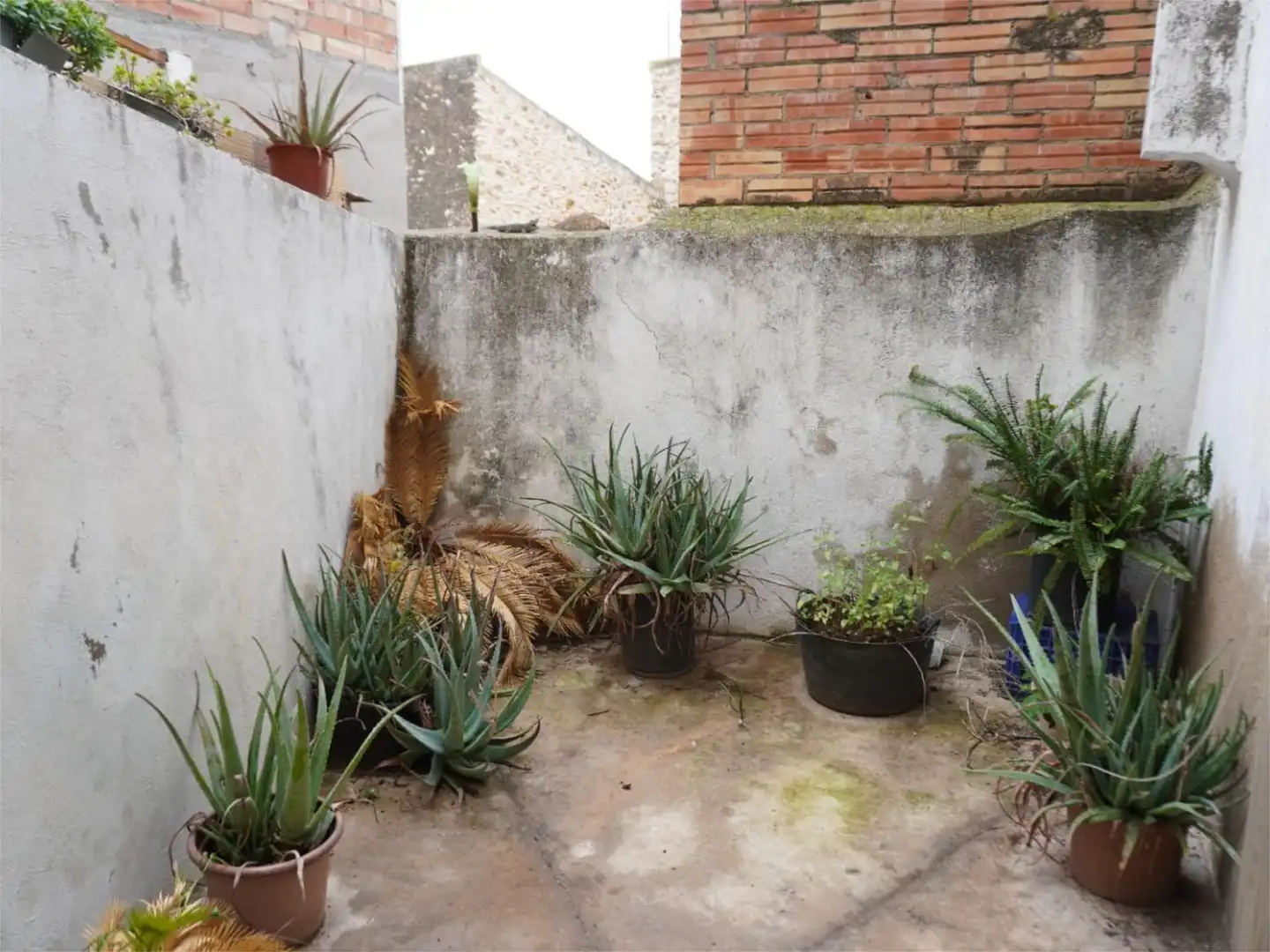 Jardín de Casa adosada en venta en Freginals con Terraza y Balcón