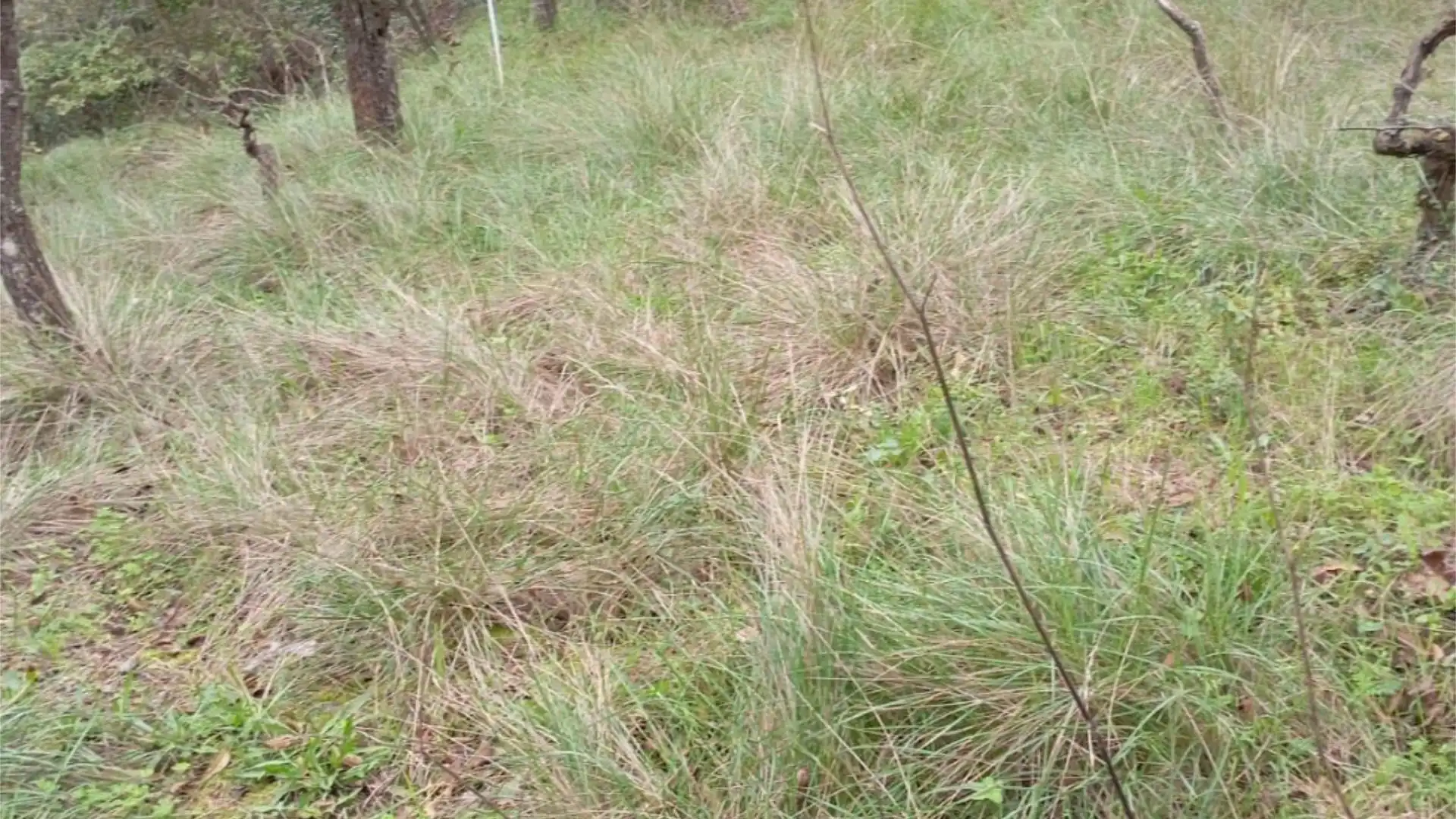 Terreno en venta en Gelida